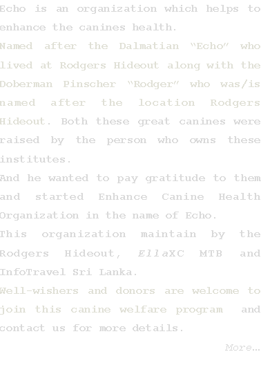 Text Box: Echo is an organization which helps to enhance the canines health. Named after the Dalmatian �Echo� who lived at Rodgers Hideout along with the Doberman Pinscher �Rodger� who was/is named after the location Rodgers Hideout. Both these great canines were raised by the person who owns these institutes. And he wanted to pay gratitude to them and started Enhance Canine Health Organization in the name of Echo. This organization maintain by the Rodgers Hideout, EllaXC MTB and InfoTravel Sri Lanka. Well-wishers and donors are welcome to join this canine welfare program  and contact us for more details.                                  More�